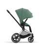 Коляска 2 в 1 Cybex Priam 4 цвет Leaf Green шасси Chrome с черными деталями