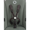 Коляска 2 в 1 Bugaboo Fox Cup Forest green (зеленый)