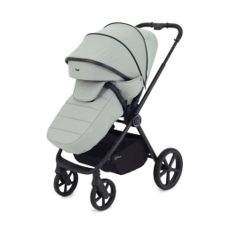 Коляска 3 в 1 Rant TEO цвет Sage на черной раме