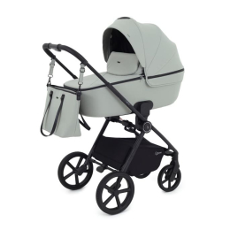 Коляска 3 в 1 Rant TEO цвет Sage на черной раме