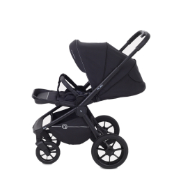 Коляска 2 в 1 Rant Flex 2025 RA076 Black (Черный)