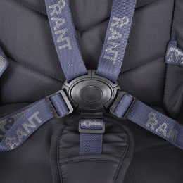 Коляска 2 в 1 Rant Flex 2025 RA076 Black (Черный)