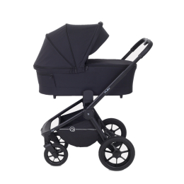 Коляска 2 в 1 Rant Flex 2025 RA076 Black (Черный)