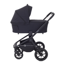 Коляска 2 в 1 Rant Flex 2025 RA076 Black (Черный)