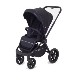 Коляска 2 в 1 Rant Flex 2025 RA076 Black (Черный)