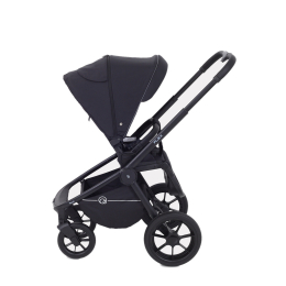 Коляска 2 в 1 Rant Flex 2025 RA076 Black (Черный)