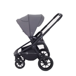 Коляска 2 в 1 Rant Flex 2025 RA076 Graphite (Графитовый)