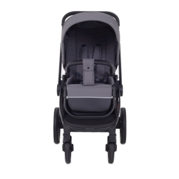 Коляска 2 в 1 Rant Flex 2025 RA076 Graphite (Графитовый)