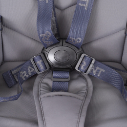 Коляска 2 в 1 Rant Flex 2025 RA076 Graphite (Графитовый)