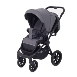 Коляска 2 в 1 Rant Flex 2025 RA076 Graphite (Графитовый)