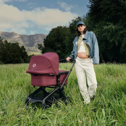 Коляска 2 в 1 Bugaboo Fox 5 Renew цвет Dark Cherry шасси Black