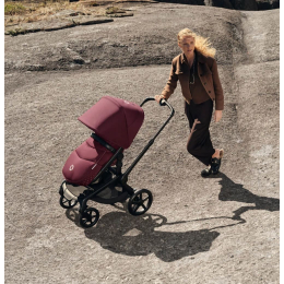 Коляска 2 в 1 Bugaboo Fox 5 Renew цвет Dark Cherry шасси Black