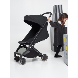 Прогулочная коляска ANEX AIR-X² Цвет Nero (Ax2-01) 