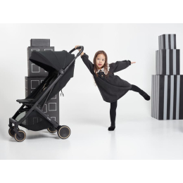 Прогулочная коляска ANEX AIR-X² Цвет Nero (Ax2-01) 