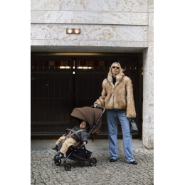 Прогулочная коляска ANEX AIR-Z Plus цвет Tillie (Az-11)