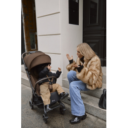 Прогулочная коляска ANEX AIR-Z Plus цвет Tillie (Az-11)