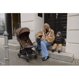 Прогулочная коляска ANEX AIR-Z Plus цвет Tillie (Az-11)