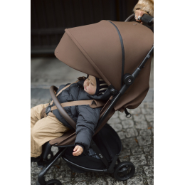 Прогулочная коляска ANEX AIR-Z Plus цвет Tillie (Az-11)