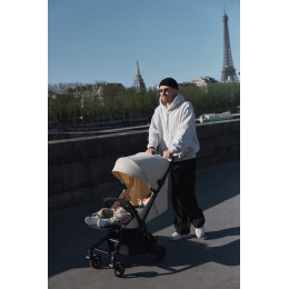 Прогулочная коляска ANEX AIR-Z цвет Oaty (Az-14)