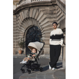Прогулочная коляска ANEX AIR-Z цвет Oaty (Az-14)