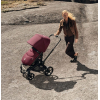 Коляска 3 в 1 Bugaboo Fox 5 Renew цвет Dark Cherry + Автокресло Cybex Cloud T (цвет на выбор)