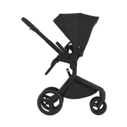 Коляска 2 в 1 Anex Flo цвет Lungo (Черный)