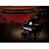 Конструктор Lego 21323 Рояль Grand Piano
