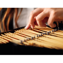 Конструктор Lego 21323 Рояль Grand Piano