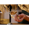 Конструктор LEGO 76968 Тираннозавр Рекс "Dinosaur Fossils: Tyrannosaurus rex"