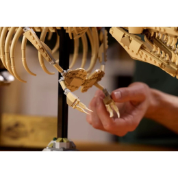 Конструктор LEGO 76968 Тираннозавр Рекс %22Dinosaur Fossils: Tyrannosaurus rex%22
