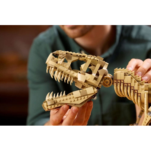 Конструктор LEGO 76968 Тираннозавр Рекс "Dinosaur Fossils: Tyrannosaurus rex"