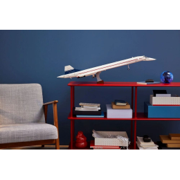 Конструктор LEGO Icons 10318 Concorde "Конкорд"