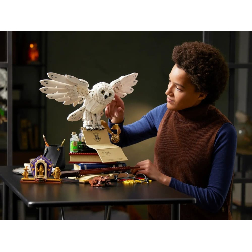 Конструктор Lego Harry Potter 76391 Символы Хогвартса "Букля"
