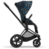 Коляска 2 в 1 Cybex Priam 4 цвет Jewels of Nature шасси Matt Black