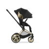 Коляска 2 в 1 Cybex Priam 4 цвет Jeremy Scott Wings