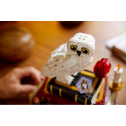 Конструктор LEGO Harry Potter 76466 Философский камень