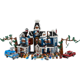 Конструктор LEGO Icons 11370 Очень странные дела: Дом Крил