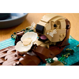 Конструктор LEGO Ideas 21366 Плавающие морские выдры