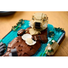Конструктор LEGO Ideas 21366 Плавающие морские выдры