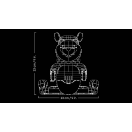 Конструктор LEGO Disney 43300 Винни Пух