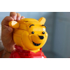 Конструктор LEGO Disney 43300 Винни Пух