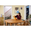 Конструктор LEGO Disney 43247 The Lion King