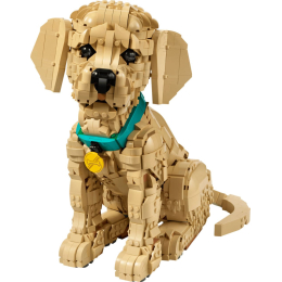 Конструктор LEGO Icons 11384 Щенок золотистого ретривера