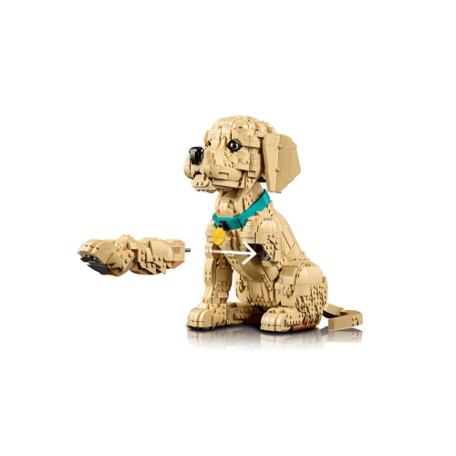 Конструктор LEGO Icons 11384 Щенок золотистого ретривера