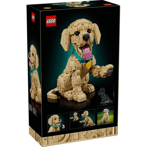Конструктор LEGO Icons 11384 Щенок золотистого ретривера