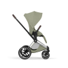 Коляска 2 в 1 Priam 5 Style Collection цвет Sage Green шасси Chrome