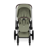 Коляска 2 в 1 Priam 5 Style Collection цвет Sage Green шасси Chrome