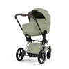 Коляска 2 в 1 Priam 5 Style Collection цвет Sage Green шасси Chrome