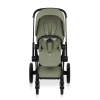 Коляска 2 в 1 Priam 5 Style Collection цвет Sage Green шасси Matt Black