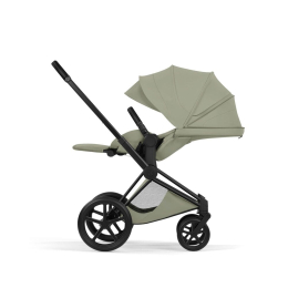 Коляска 2 в 1 Priam 5 Style Collection цвет Sage Green шасси Matt Black